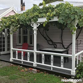 Cute cottage colour