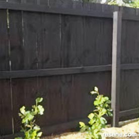 Black fence