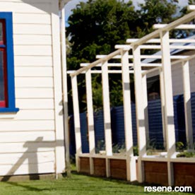 Painted garden beds