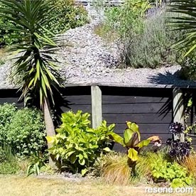 Stained fence