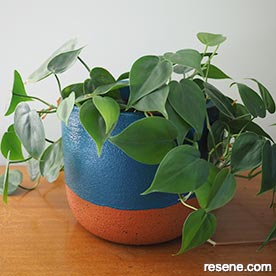 Sandtex plant pots