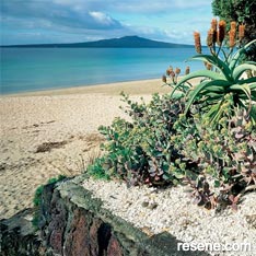 Garden by the sea