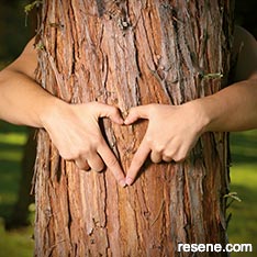 Choosing and using an arborist 