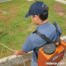 Step by step – lawn low down