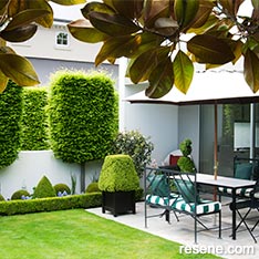 The big small garden