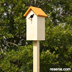 Build a birdhouse
