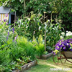 Birds, bees and bounty