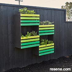 Vertical vege garden