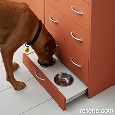 Endless paw-sibilities