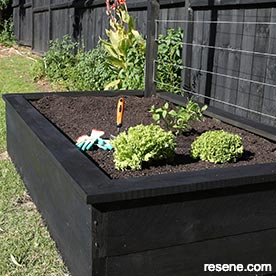Make a raised vegetable garden