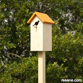Build a birdhouse