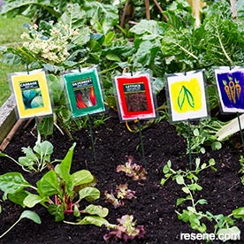 Diy kidz- cool plant labels