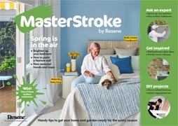 MasterStroke - Spring 2024 decorating