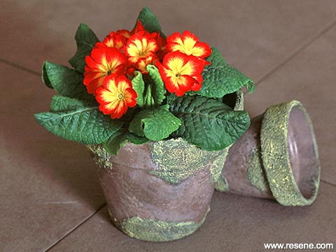 Create a textured pot and paint with a moss finish