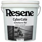 Resene CyberCote