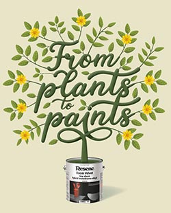 From plants to paints