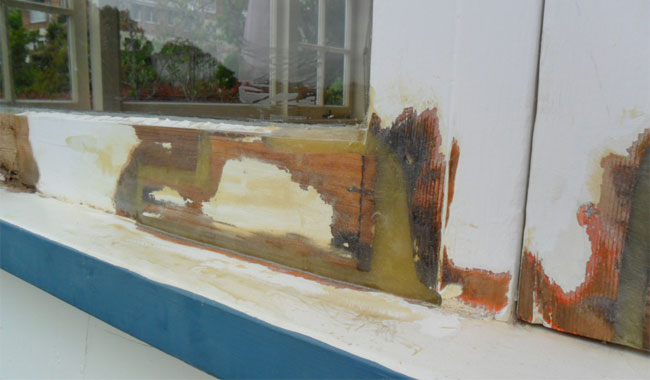 Repaircare for repairing rot in wooden window frames