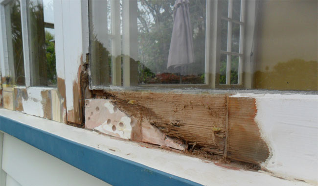 Repaircare for repairing rot in wooden window frames