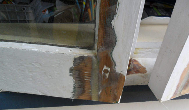 Repaircare for repairing rot in wooden window frames