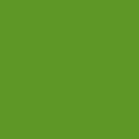 Resene Limeade