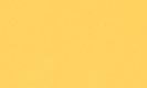 Paint swatch