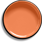 Orange Palette