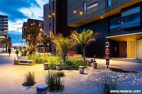 Apartment complex - courtyard
