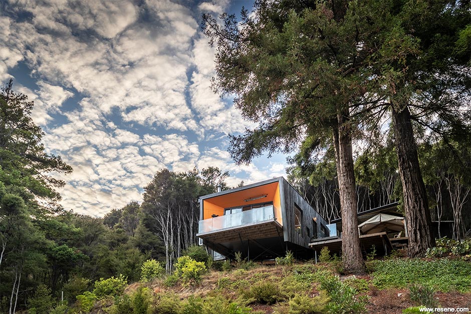Black and orange bach exterior
