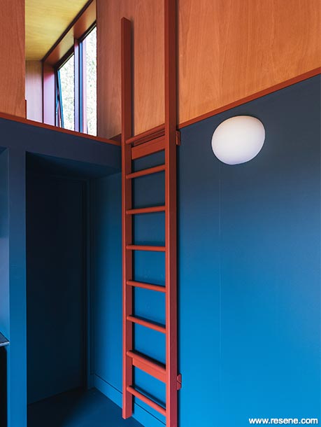 Red and blue cricket club interior