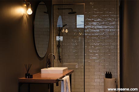 Dark brown bathroom