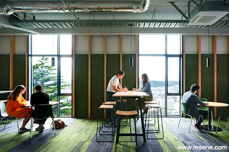 Dark green and white university interior