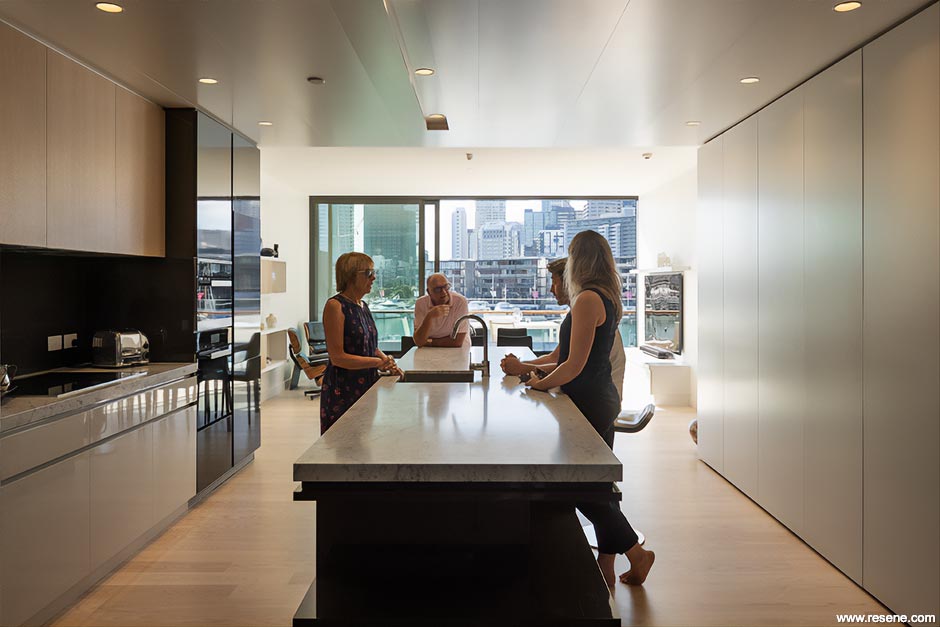 Luxury apartment kitchen