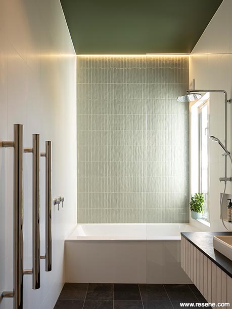Dark green and white bathroom