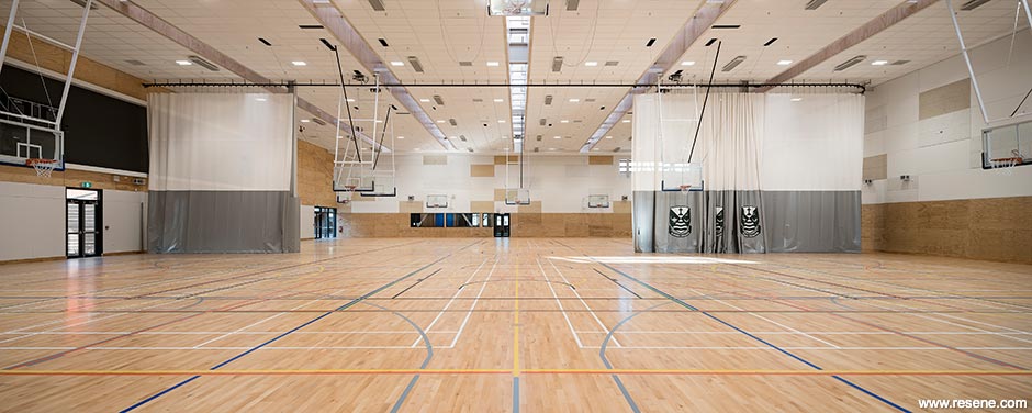 Bright school gymnasium