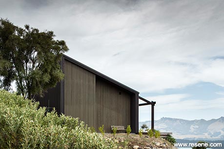 Nature themed home
