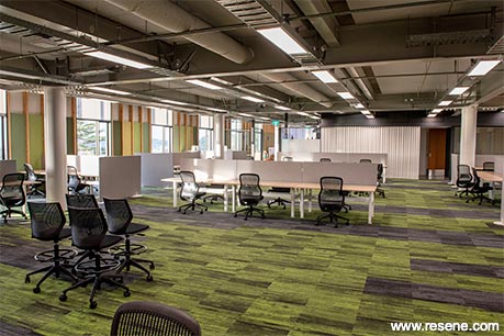 Green and white university interior