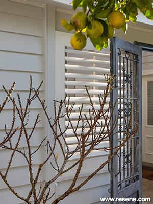 Villa side door