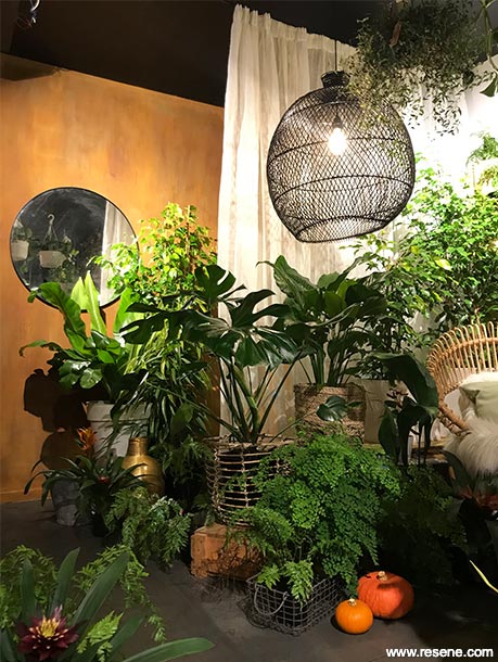 Wild Botanic interior