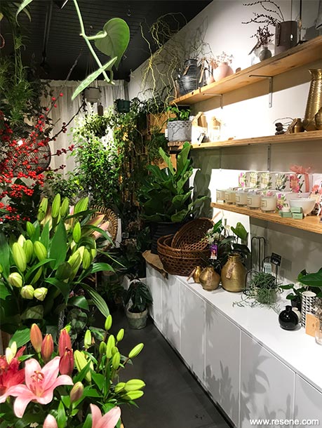 House plant store interior