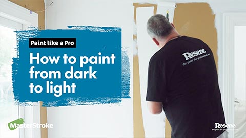 Paint like a pro video tutorials