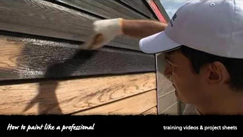Training videos/project sheets