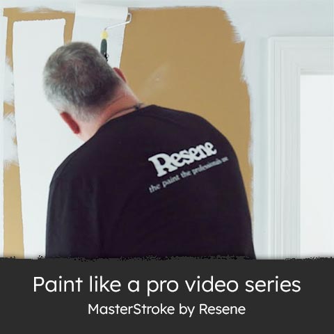 Paint like a pro video series