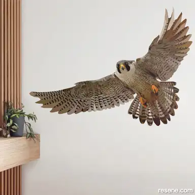 Falcon 