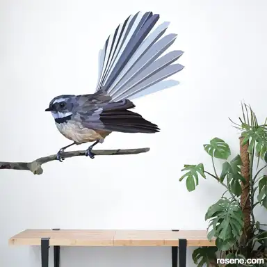Fantail 