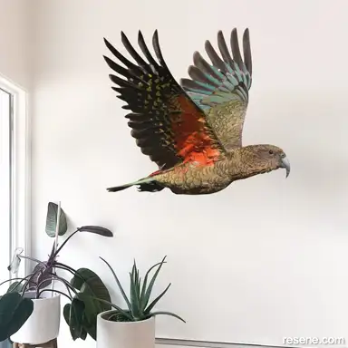 Flying Kea 