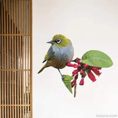 Geometric Waxeye