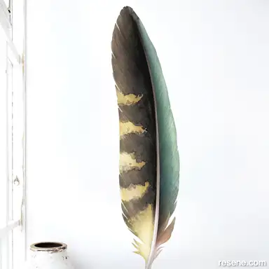 Kea Feather 
