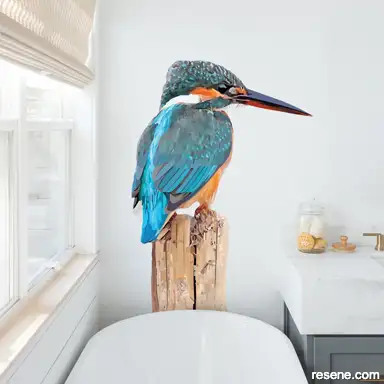 Kingfisher 