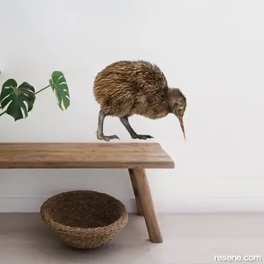 kiwi