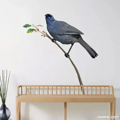 Kokako 
